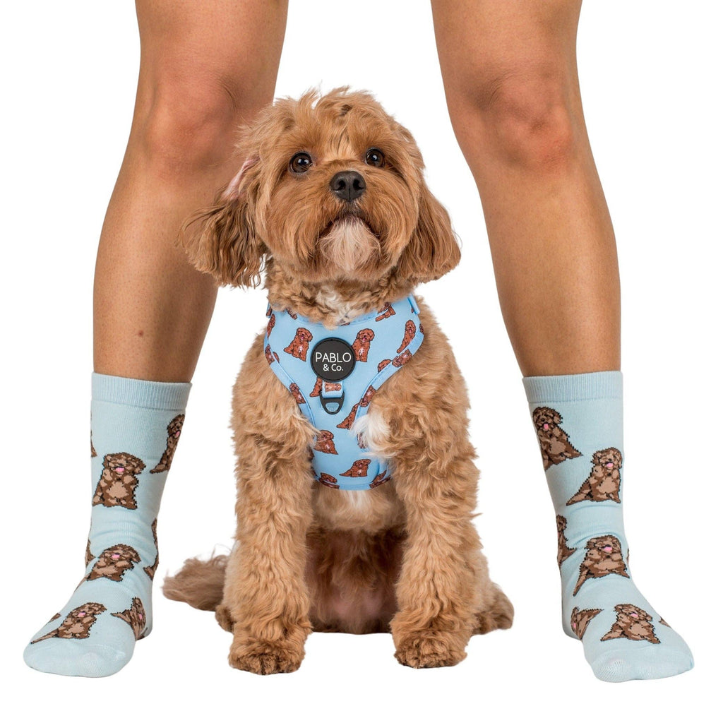 Dog Breed Socks