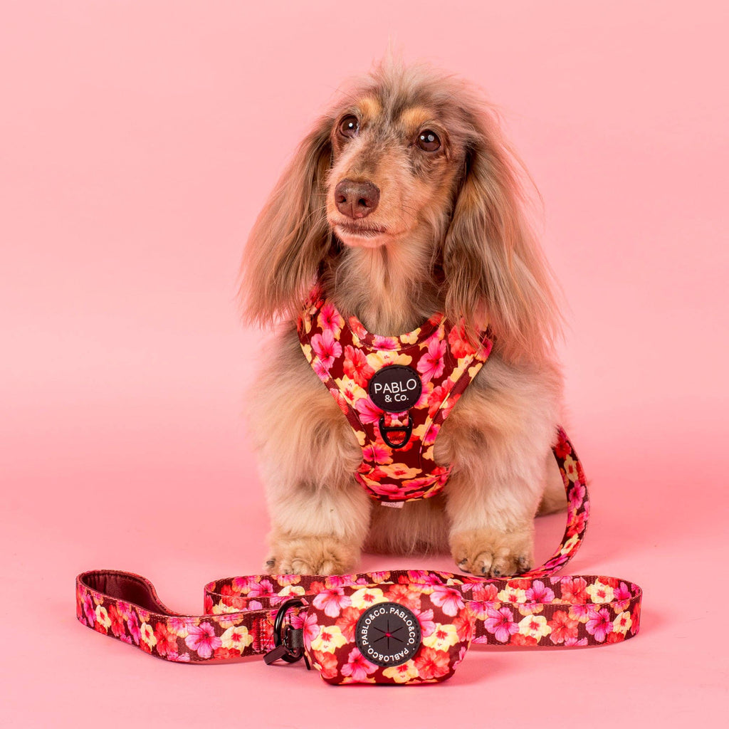 Hibiscus: Poop Bag Holder