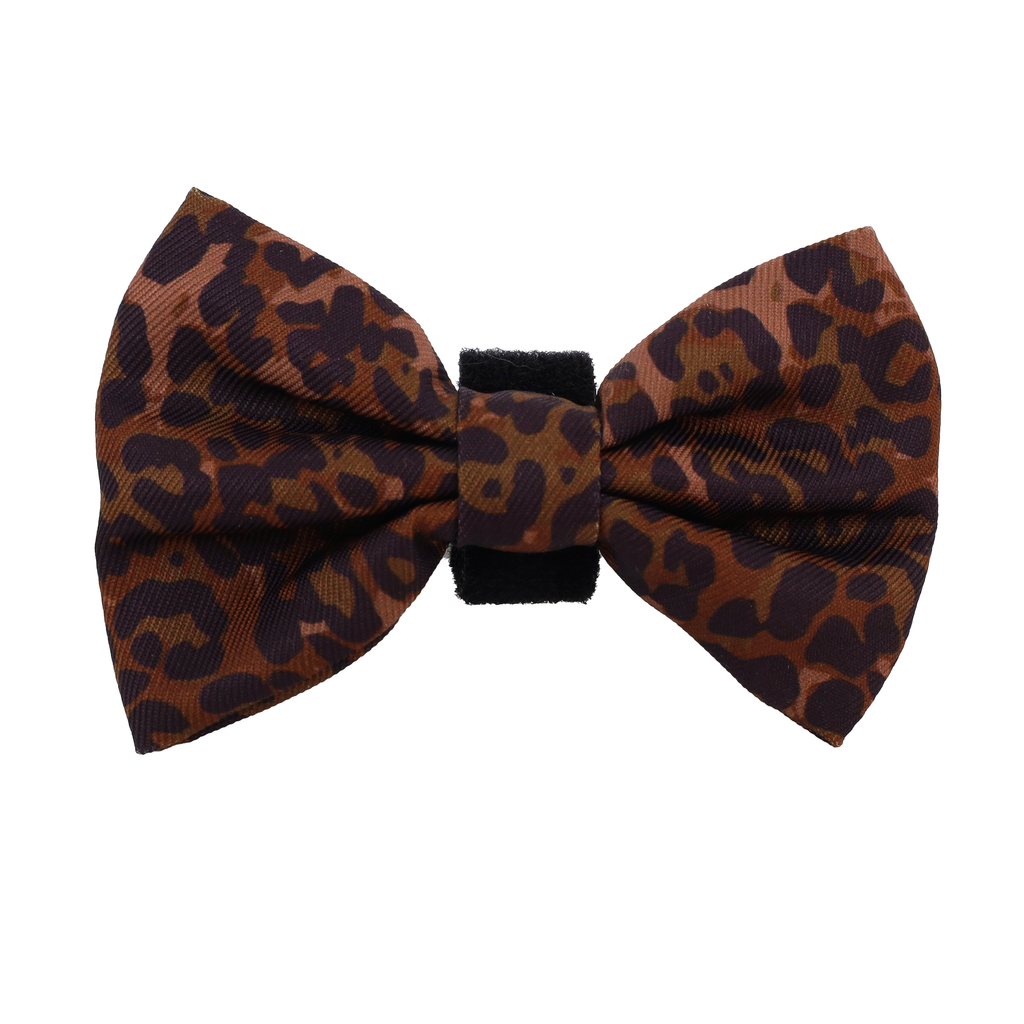 Leopard: Bow Tie