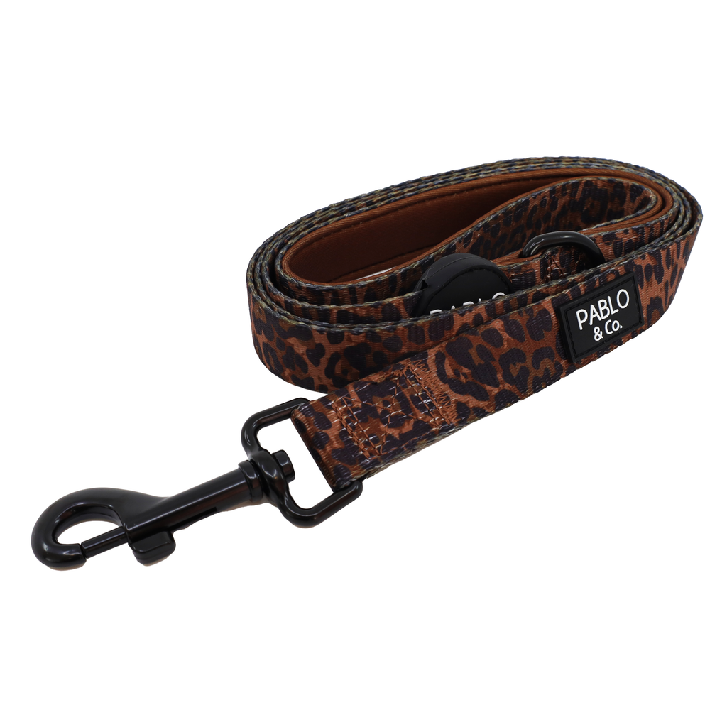 Leopard: Dog Leash