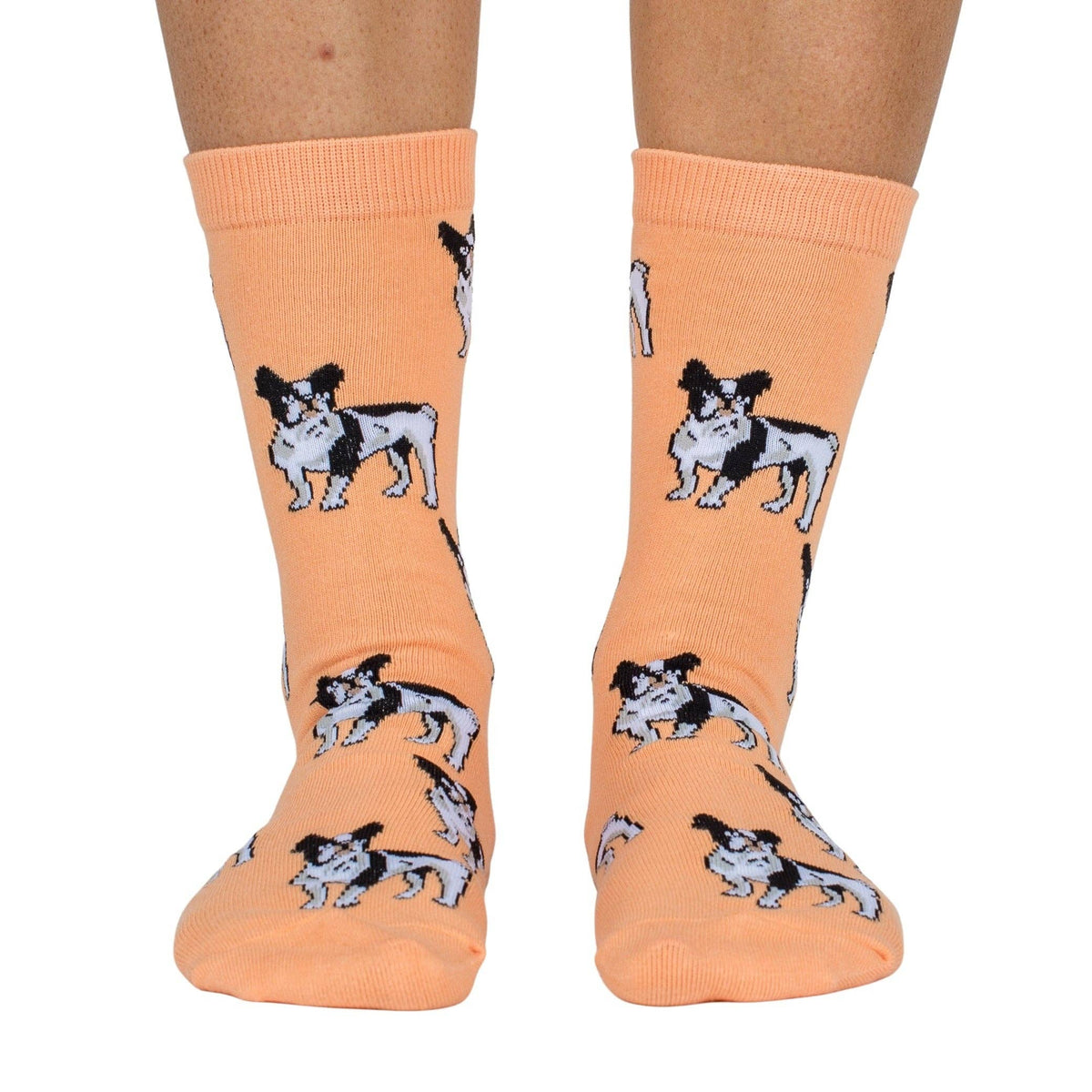 Dog Breed Socks