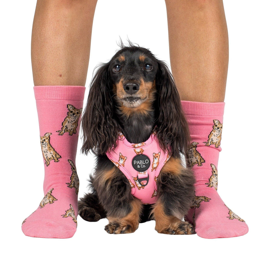 Dog Breed Socks