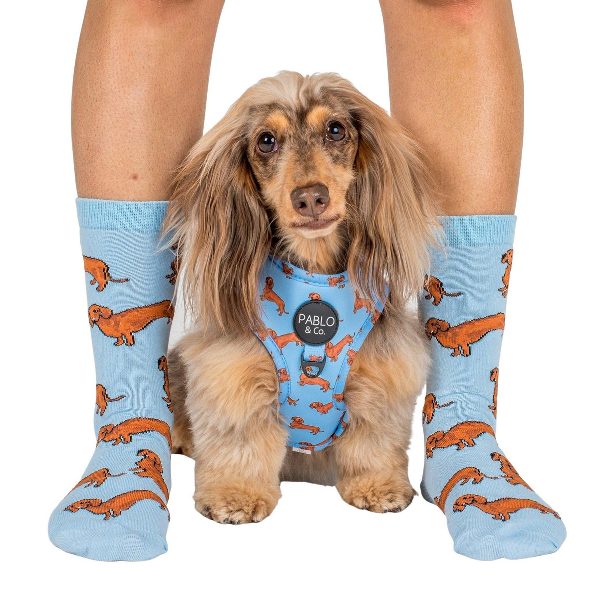 Dog Breed Socks