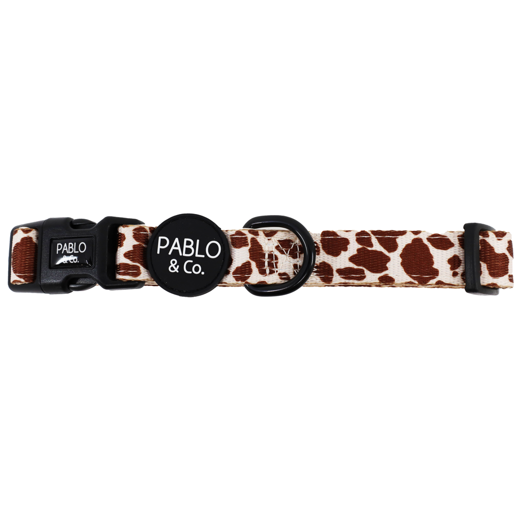 Rodeo: Collar